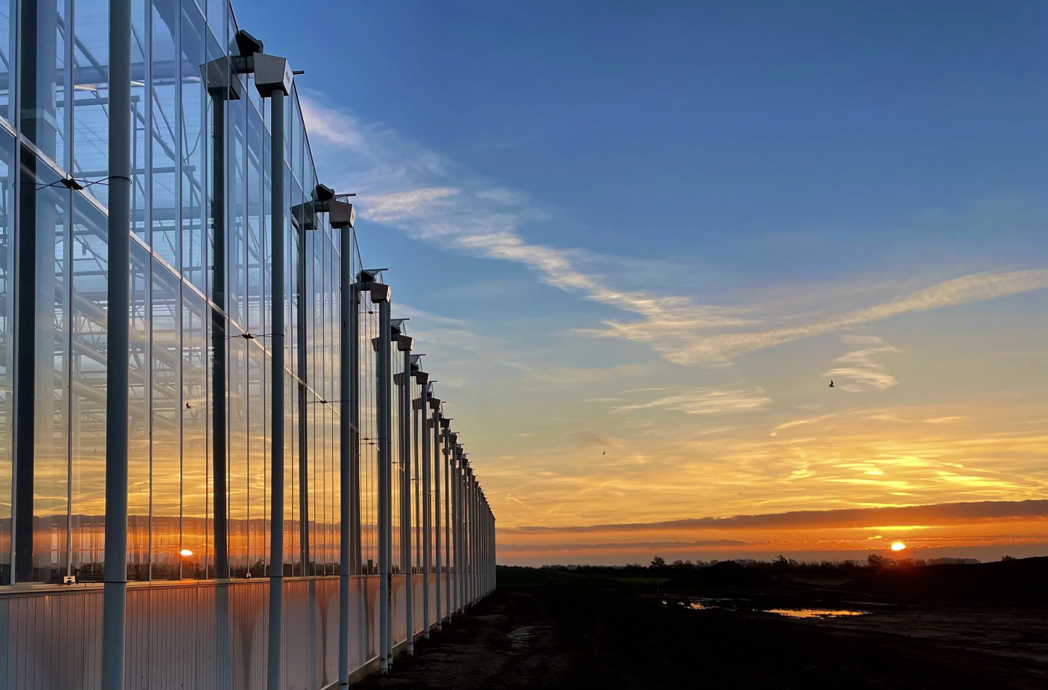 Cambridge Glasshouse Taggarts Architectural, Environmental and